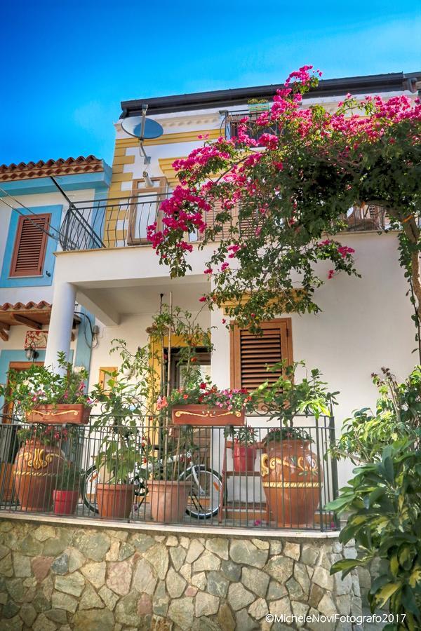 La Casa Di Ivana San Nicola Arcella Exteriör bild