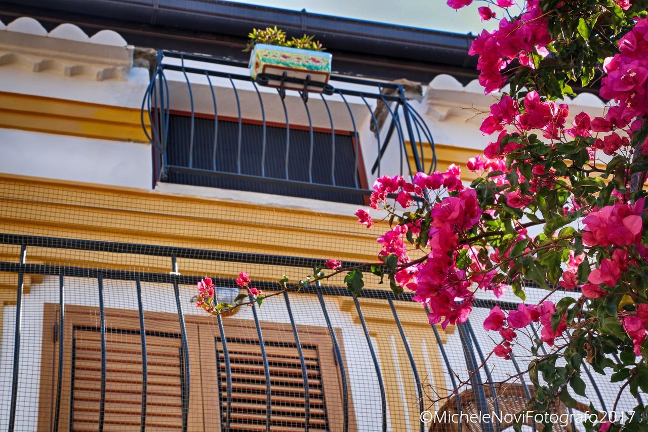 La Casa Di Ivana San Nicola Arcella Exteriör bild